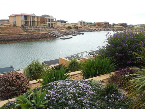 Happy Gilmore - Kingaroy Accommodation 0