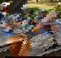 Naracoorte Caves Camping and Accomodation - Kingaroy Accommodation