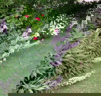 Padthaway Caravan Park - Kingaroy Accommodation