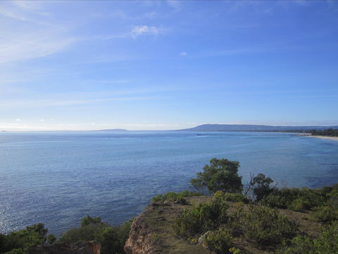 Plantation House At Whitecliffs - Kingaroy Accommodation 1