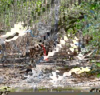 Rakhi Retreat - Kingaroy Accommodation