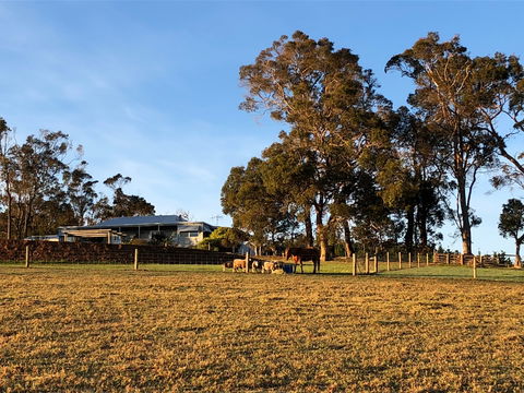 Great Southern Outback Tours & Accommodation - Kingaroy Accommodation 2