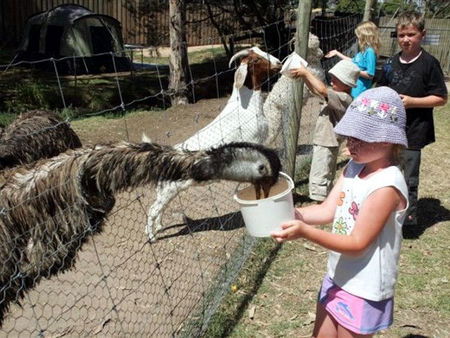 Bairnsdale Holiday Park - Kingaroy Accommodation 2