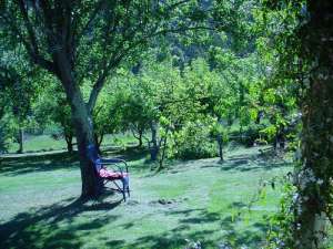Murnong Self Contained Cottages - Kingaroy Accommodation 3
