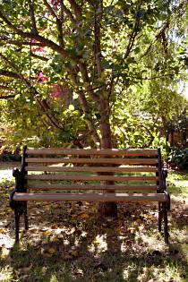 Tara House Bed And Breakfast - Kingaroy Accommodation 4