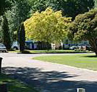 Mitchell Gardens Holiday Park - Kingaroy Accommodation