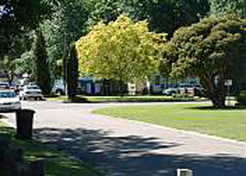Mitchell Gardens Holiday Park - Kingaroy Accommodation 0