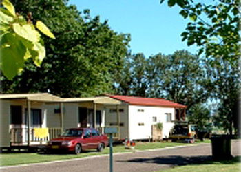 Mitchell Gardens Holiday Park - Kingaroy Accommodation 1