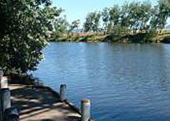 Mitchell Gardens Holiday Park - Kingaroy Accommodation 2