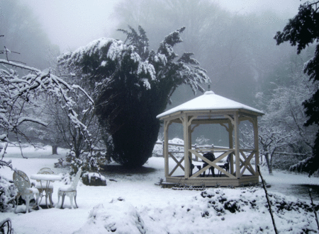 Arcadia Cottages - Kingaroy Accommodation 2