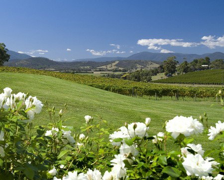 Balgownie Estate Vineyard Resort And Spa - Kingaroy Accommodation 0