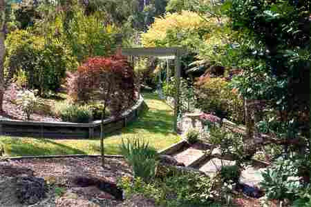 Mast Gully Gardens - Kingaroy Accommodation 2