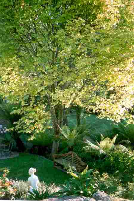 Mast Gully Gardens - Kingaroy Accommodation 4