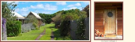 Orchard Cottage - Kingaroy Accommodation 0