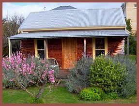 Orchard Cottage - Kingaroy Accommodation 1