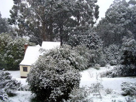 Tranquillity Cottage - Kingaroy Accommodation 0