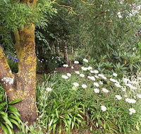 Springbank Bed and Breakfast
