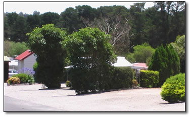 Wantirna Park - Kingaroy Accommodation 5