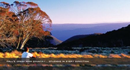 Alpine View Apartments - Kingaroy Accommodation 1