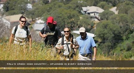Alpine View Apartments - Kingaroy Accommodation 3