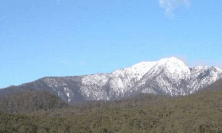 Buller House @ Alpine Ridge - Kingaroy Accommodation 3