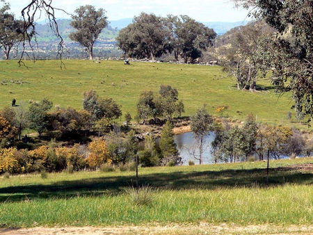 Gaddleen Grove Cottages - Kingaroy Accommodation 3
