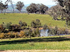 Gaddleen Grove Cottages - Kingaroy Accommodation 5