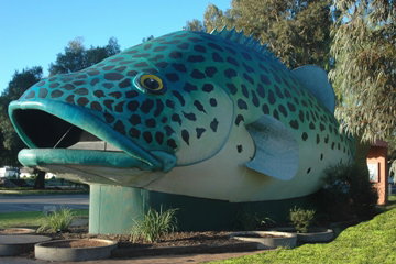 Swan Hill Holiday Park - Kingaroy Accommodation 4