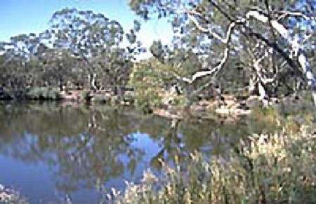 Riverside Host Farm - Kingaroy Accommodation 1