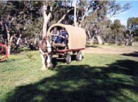 Riverside Host Farm - Kingaroy Accommodation 3