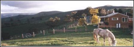 Idlewild Park Farm Accommodation - Kingaroy Accommodation 1
