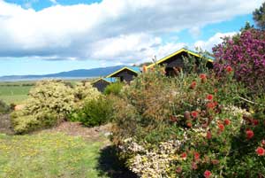 Black Cockatoo Cottages - Kingaroy Accommodation 0