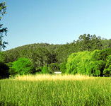 Waterholes Guest House - Kingaroy Accommodation