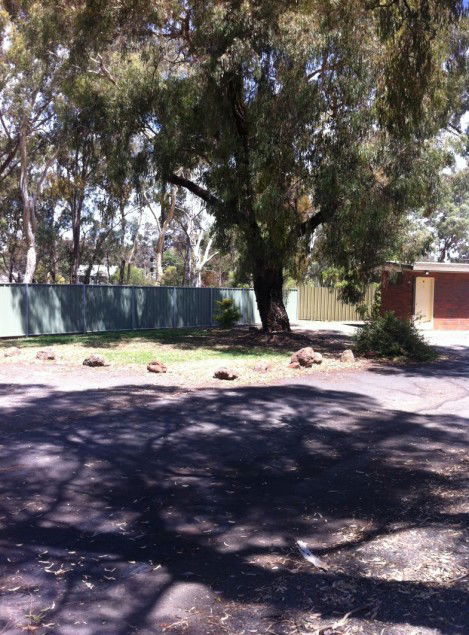 Golden Country Motel And Caravan Park - Kingaroy Accommodation 2