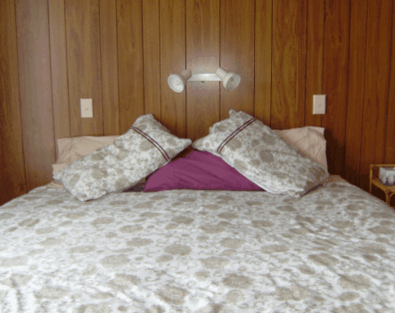 Lady Barron Holiday House - Kingaroy Accommodation 2