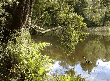 Eddystone TAS Kingaroy Accommodation