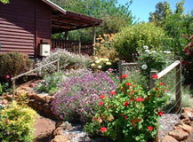 Chestnut Brook Cottage - Kingaroy Accommodation 0