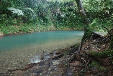 Diwan QLD Kingaroy Accommodation