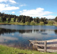 Glenlynn Cottages - Kingaroy Accommodation