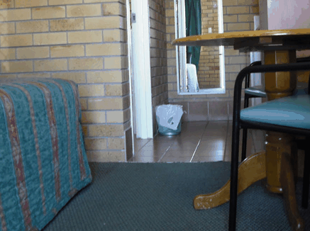 Dragon  Phoenix Motel - Kingaroy Accommodation