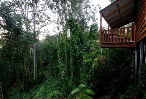 Ravensbourne Forest Chalets - Kingaroy Accommodation 1