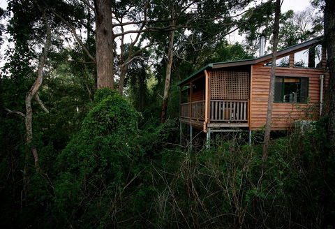 Ravensbourne Forest Chalets - Kingaroy Accommodation 4