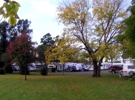 Poplar Tourist Park - Kingaroy Accommodation 2