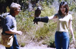 Eagles Heritage Raptor Wildlife Centre - Kingaroy Accommodation 2