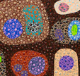 Turner Galleries - Kingaroy Accommodation