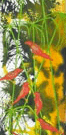 Jahroc Mill Gallery - Kingaroy Accommodation 3