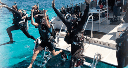 Snorkel Safari Brisbane - Kingaroy Accommodation