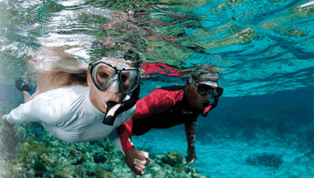 Snorkel Safari Brisbane - Kingaroy Accommodation 1