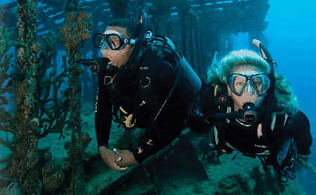 Snorkel Safari Brisbane - Kingaroy Accommodation 2