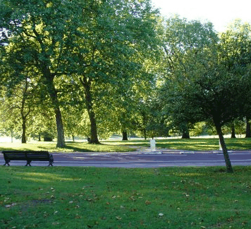 New Farm Park - Kingaroy Accommodation